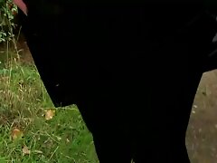 سممت الجاسوس لها الأبله بعد ممارسة الجنس الشاق مقاطع افلام سكسيه عراقيه